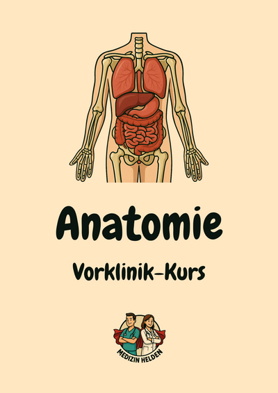 Anatomie Komplettkurs Medizin – Bewegungsapparat, Innere Organe & Neuroanatomie