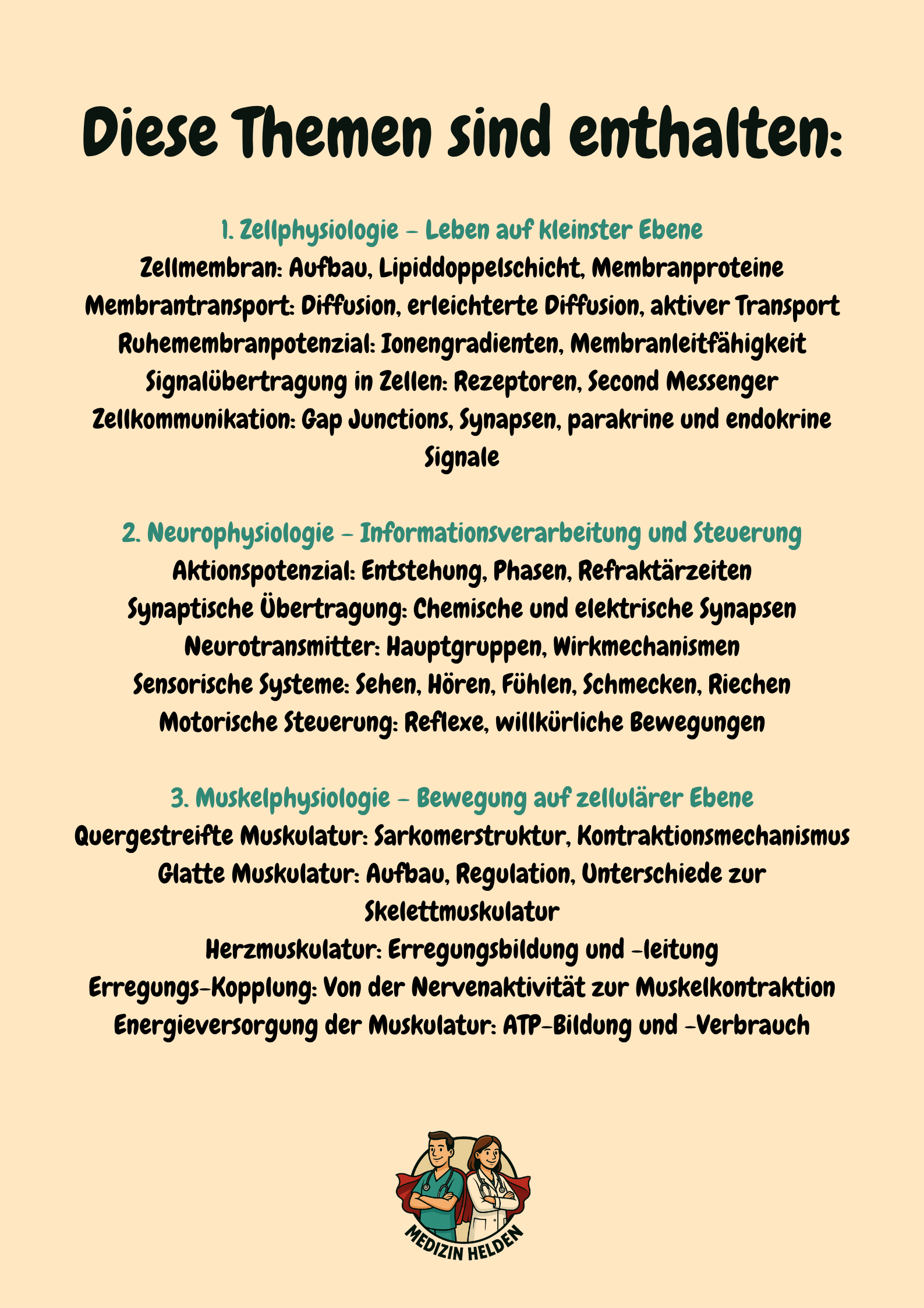 Physiologie Komplettkurs Medizin – Funktion des Körpers meistern Großansicht 2