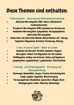 Vorschau 3