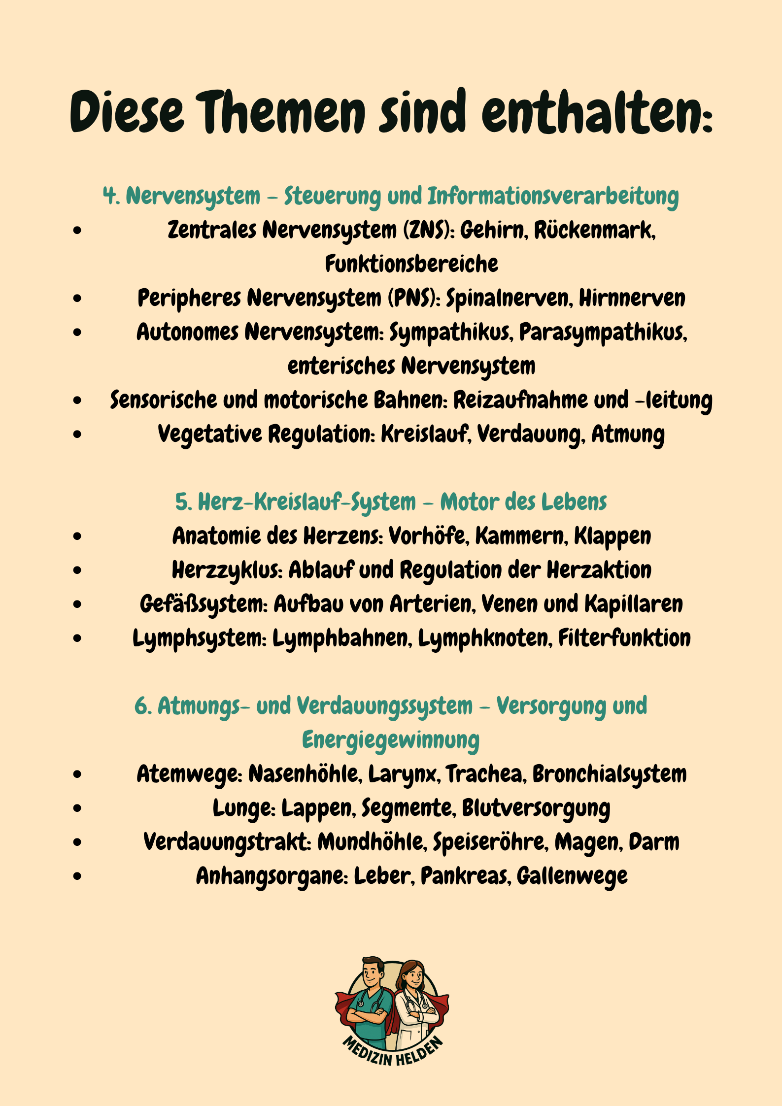 Physiologie Komplettkurs Medizin – Funktion des Körpers meistern Großansicht 3
