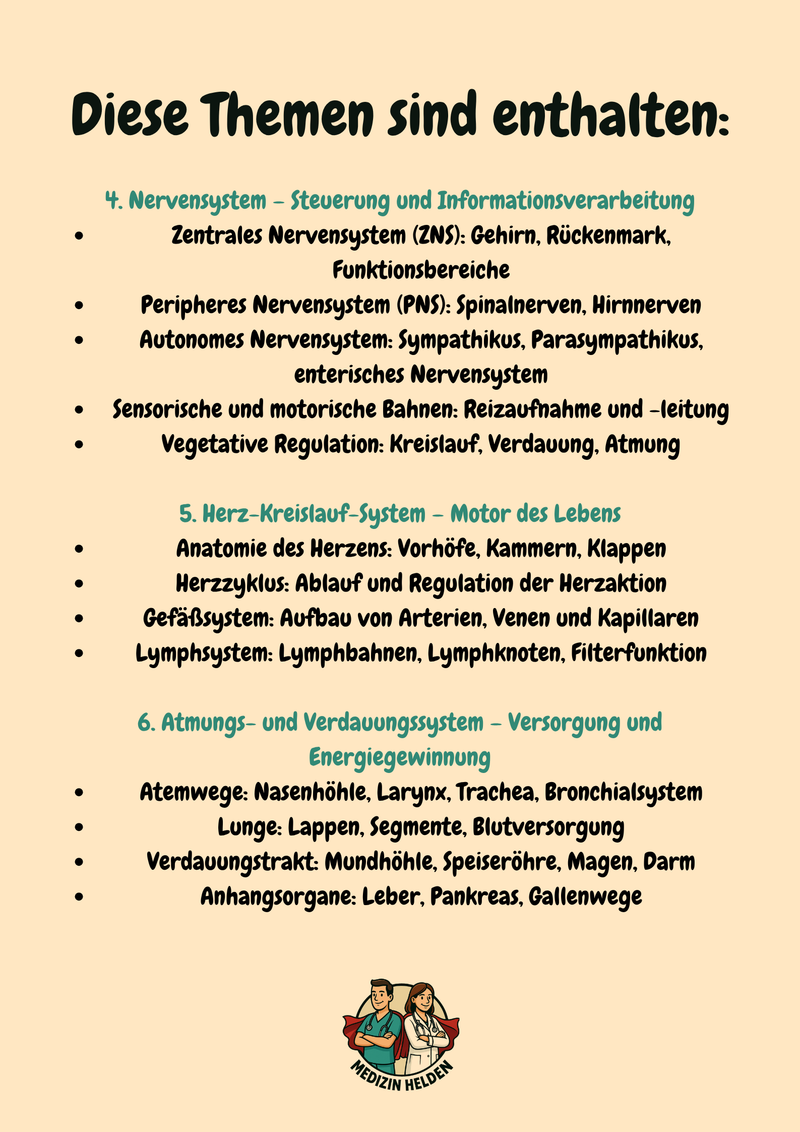 Physiologie Komplettkurs Medizin – Funktion des Körpers meistern Bild 3