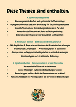 Vorschau 3