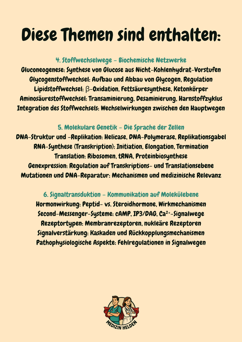 Vorklinik Komplettkurs – Biochemie, Anatomie, Physiologie & Psychologie für das Medizinstudium Bild 5
