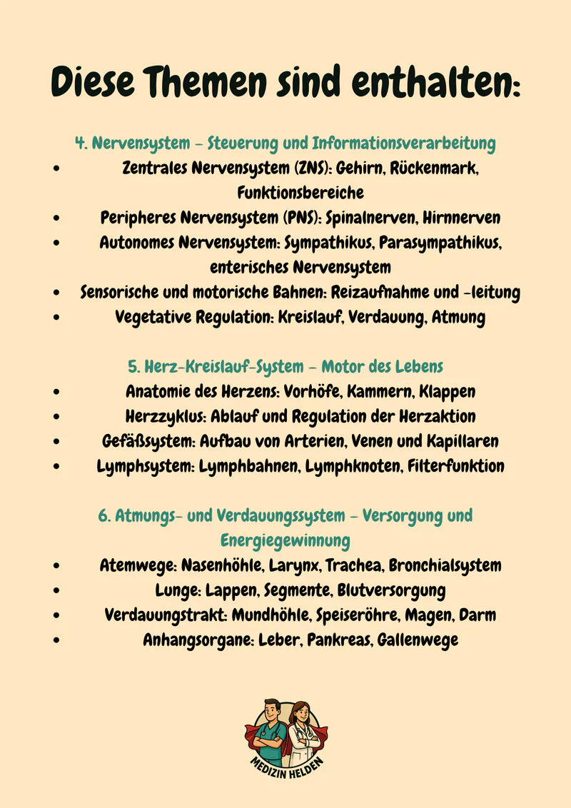 Anatomie Komplettkurs Zahnmedizin – Bewegungsapparat, Innere Organe & Neuroanatomie