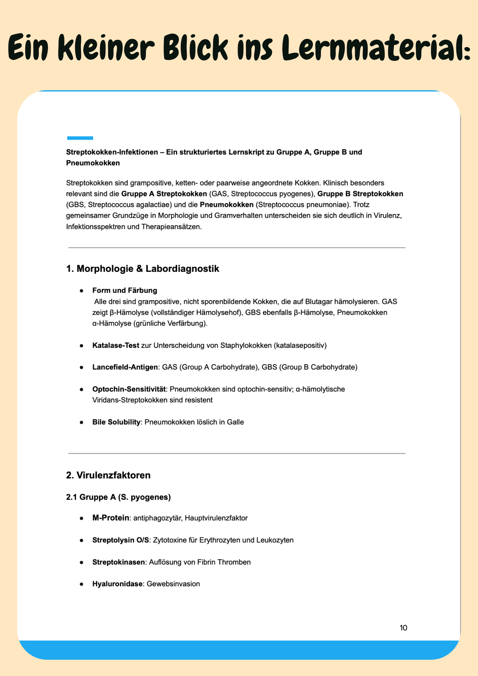 Mikrobiologie – Dein Komplettkurs für Prüfung & Klinikalltag