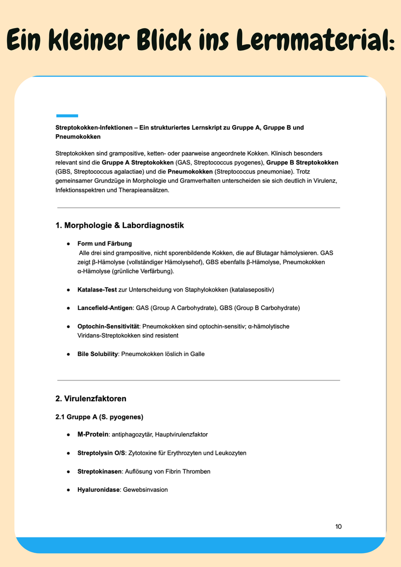 Mikrobiologie – Dein Komplettkurs für Prüfung & Klinikalltag Bild 5