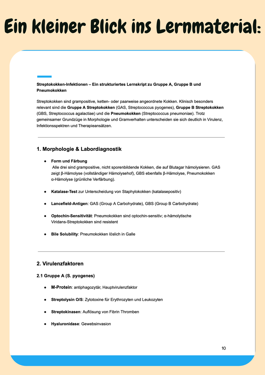 Mikrobiologie – Dein Komplettkurs für Prüfung & Klinikalltag – Klinik Vorschau 5