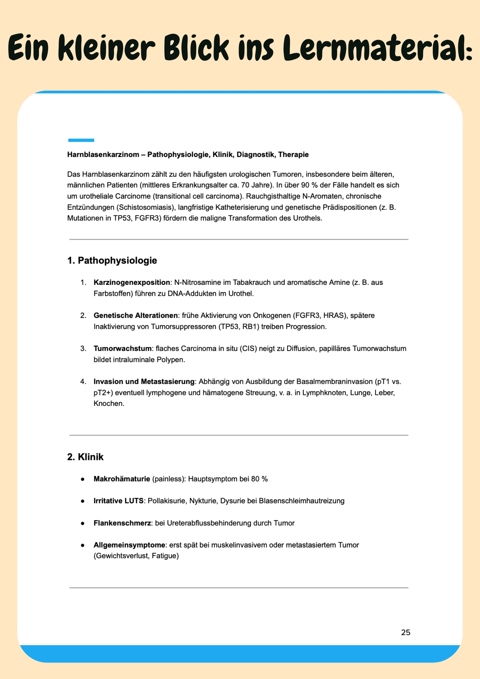 Urologie & HNO – Klinik verstehen