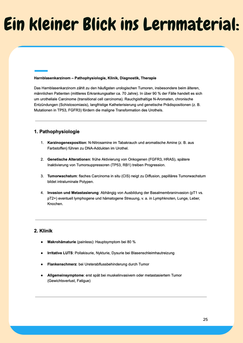 Urologie & HNO – Klinik verstehen Bild 5