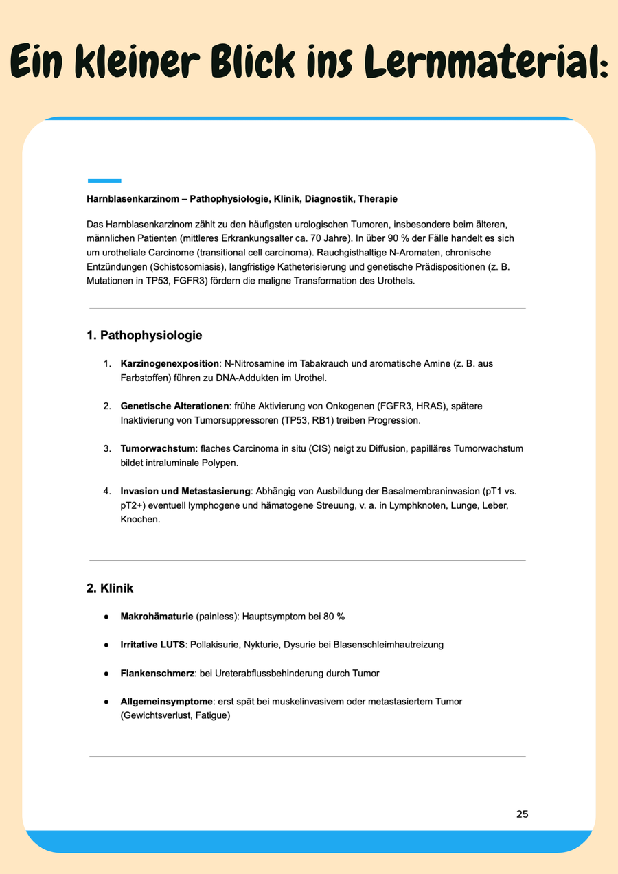 Urologie & HNO – Klinik verstehen – Klinik Vorschau 5