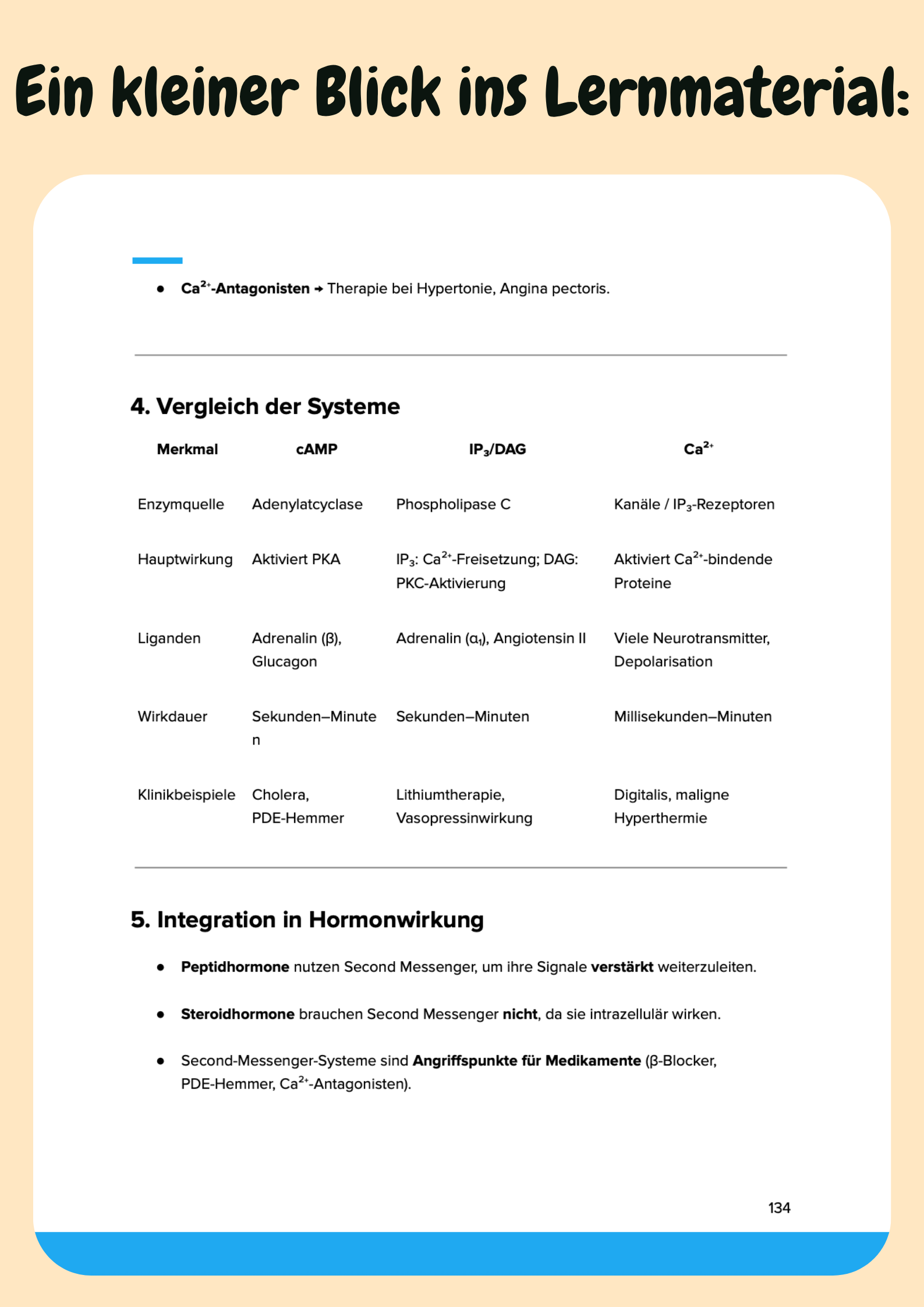 Vorklinik Komplettkurs – Biochemie, Anatomie, Physiologie & Psychologie für das Medizinstudium Großansicht 11