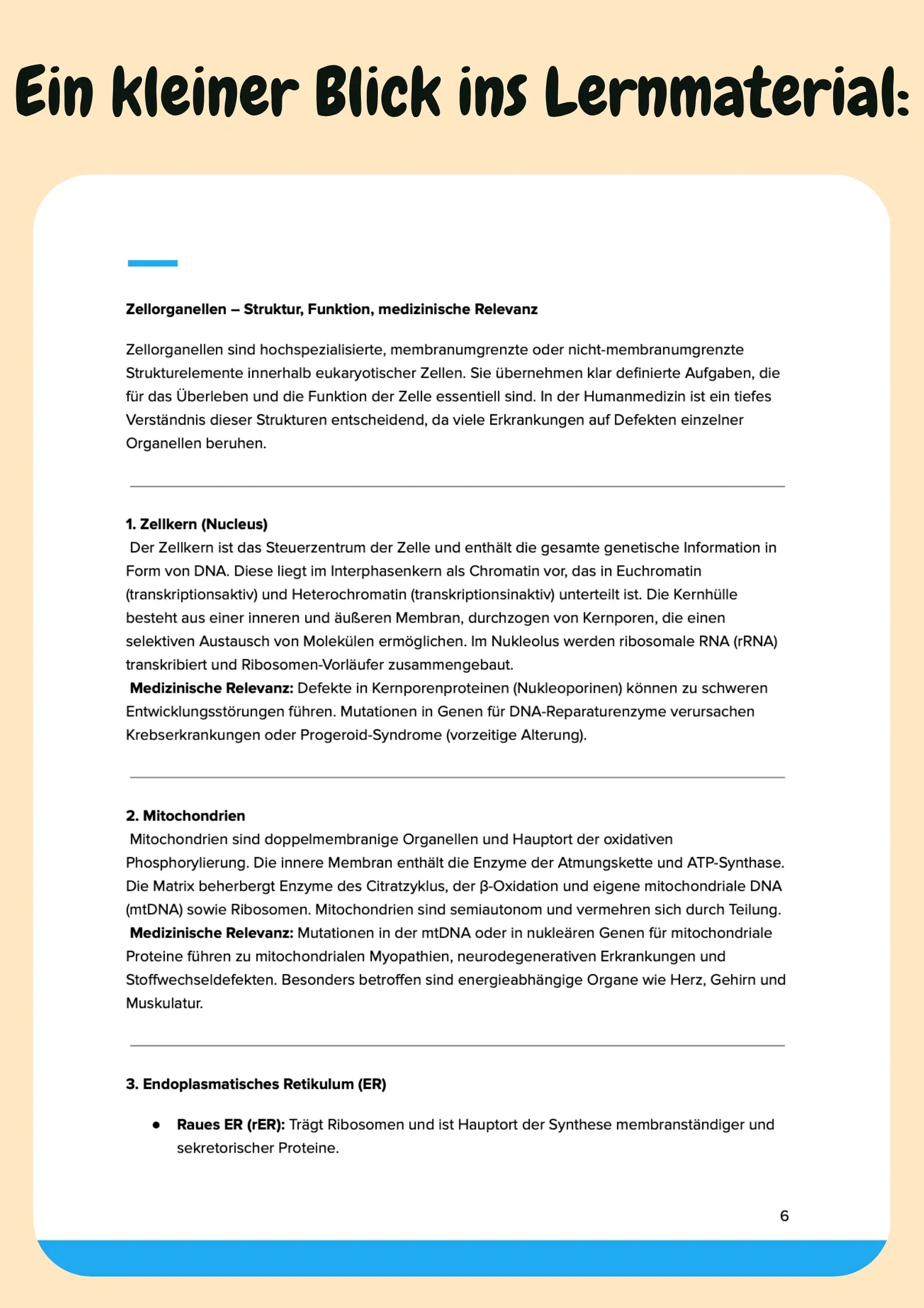 Biologie-Kurs Zahnmedizin – Die Grundlagen fürs Z1 wirklich verstehen