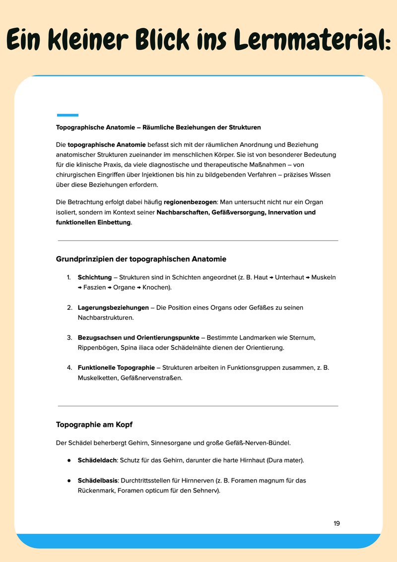Anatomie Komplettkurs Medizin – Bewegungsapparat, Innere Organe & Neuroanatomie Bild 6