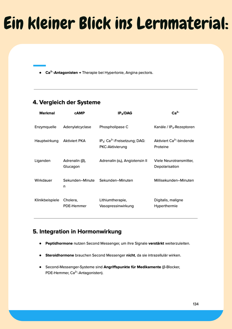 Vorklinik Komplettkurs – Biochemie, Anatomie, Physiologie & Psychologie für das Medizinstudium Bild 11