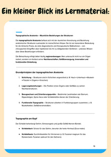 Anatomie Komplettkurs Zahnmedizin – Bewegungsapparat, Innere Organe & Neuroanatomie