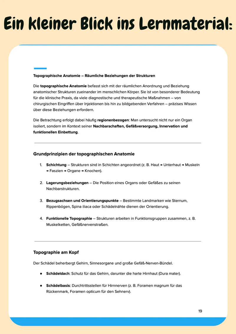Anatomie Komplettkurs Zahnmedizin – Bewegungsapparat, Innere Organe & Neuroanatomie Bild 6