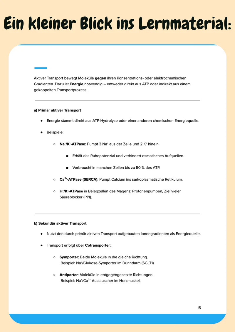 Physiologie Komplettkurs Zahnmedizin – Die Funktionsweise des Körpers meistern Bild 6