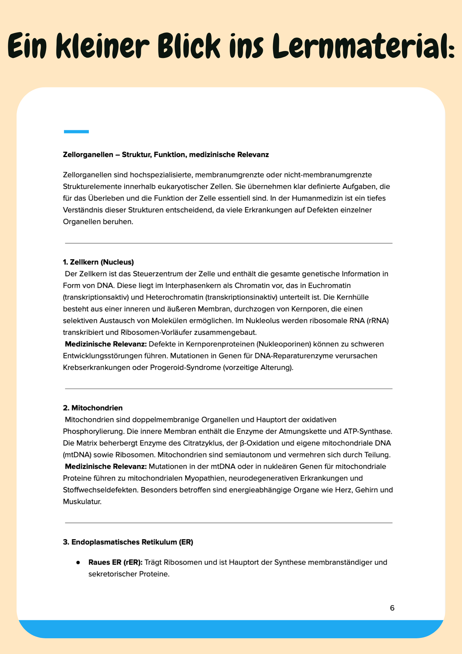 Vorbereitungskurs Biologie, Chemie & Physik - 1. Vorklinisches Semester Großansicht 12
