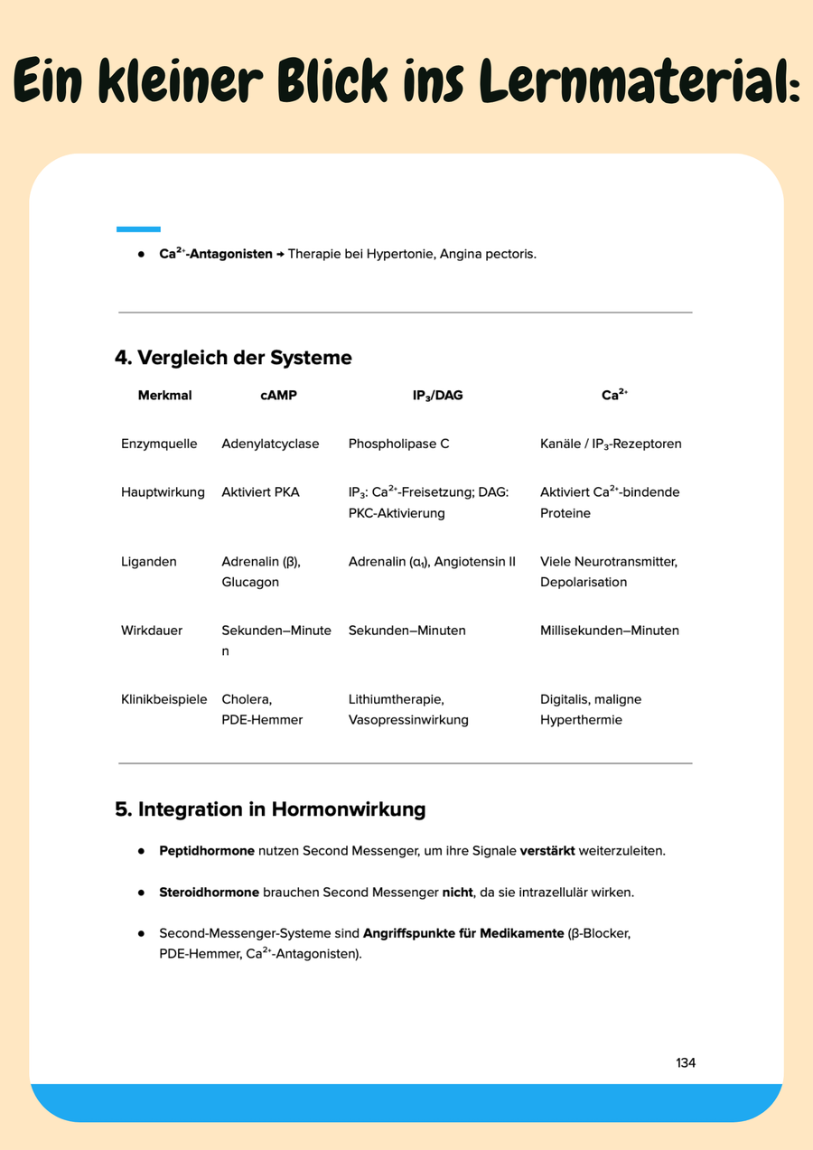 Vorklinik Komplettkurs – Biochemie, Anatomie, Physiologie & Psychologie für das Medizinstudium – Vorschau 11
