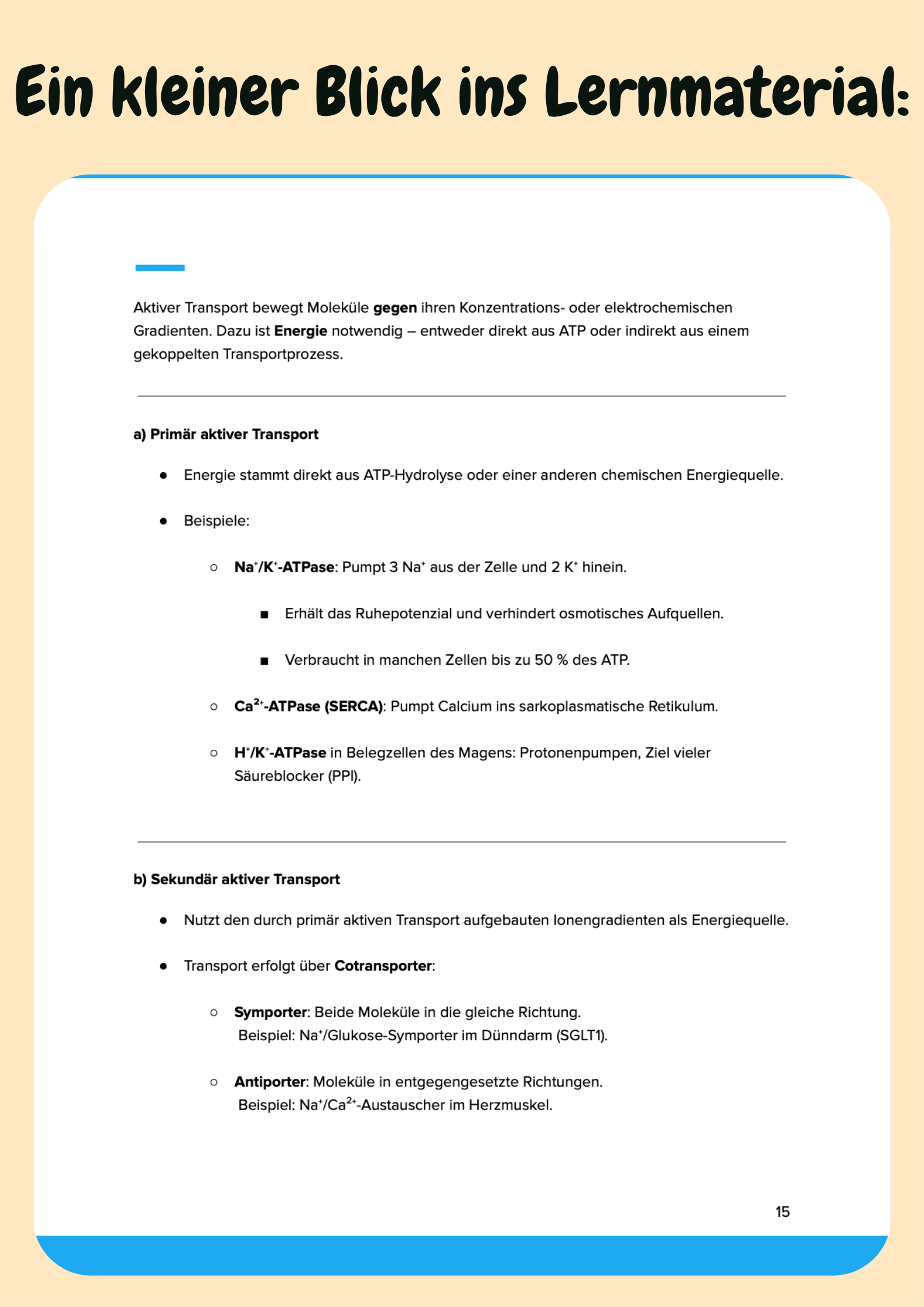 Physiologie Komplettkurs Medizin – Funktion des Körpers meistern Großansicht 6
