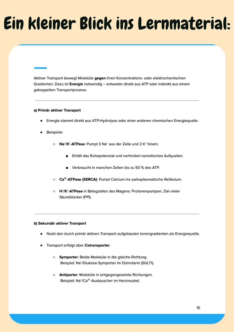 Physiologie Komplettkurs Medizin – Funktion des Körpers meistern Bild 6