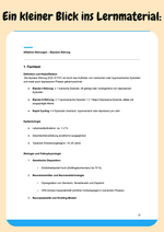 Vorschau 6