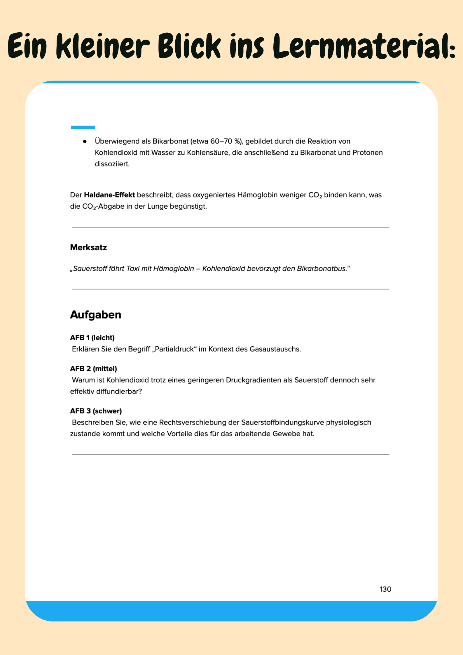 Physiologie Komplettkurs Medizin – Funktion des Körpers meistern Großansicht 7