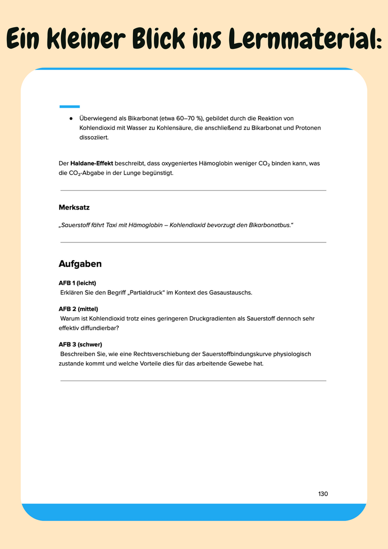 Physiologie Komplettkurs Medizin – Funktion des Körpers meistern Bild 7