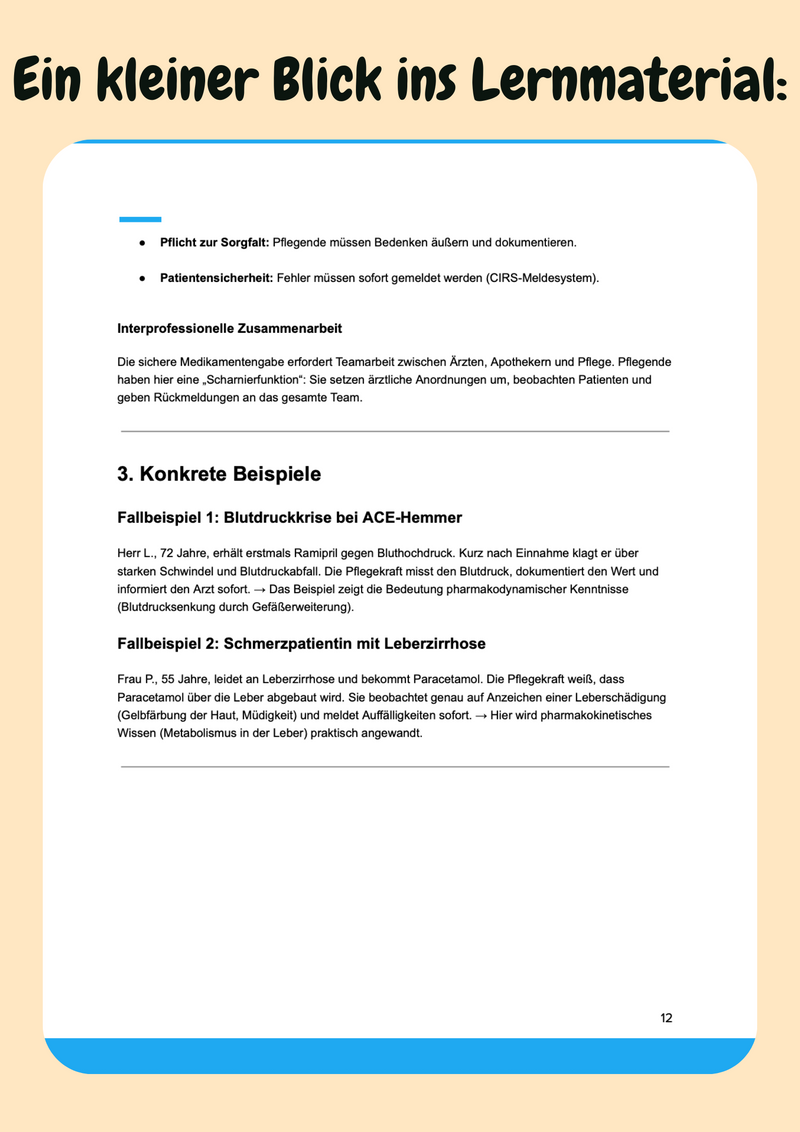 Grundlagen professioneller Pflege & rechtliche Rahmenbedingungen - Lernpaket Pflegeausbildung Bild 7
