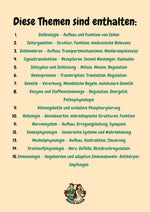 Vorschau 14