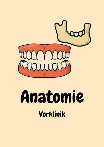 Anatomie Komplettkurs Zahnmedizin – Bewegungsapparat, Innere Organe & Neuroanatomie