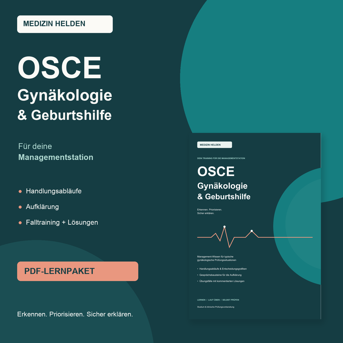 OSCE Gynäkologie & Geburtshilfe – Training für die Managementstation mit Entscheidungsgrafiken und Übungsfällen